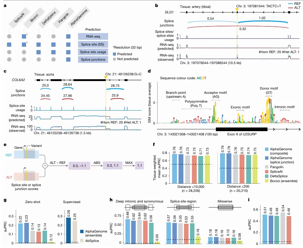alphagenome_predict